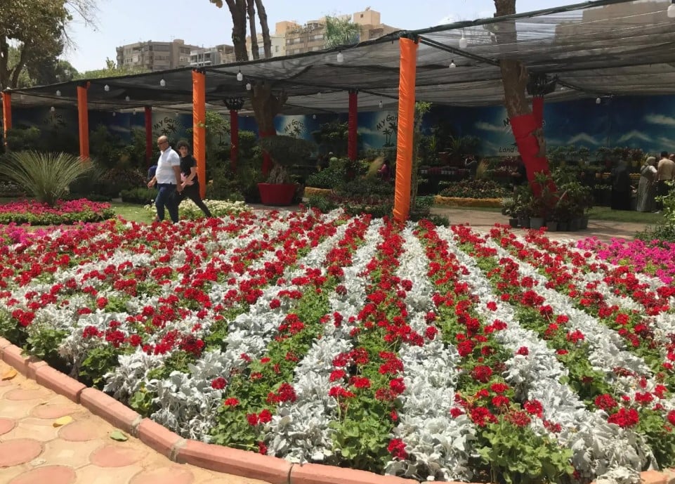 معرض الزهور
