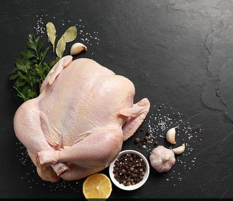 الدجاج 