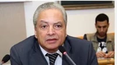 خبير سياسي: دور مصر ثابت وممتد عبر التاريخ اتجاه القضية الفلسطينية