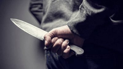 الداخلية تكشف كواليس مذبحة الميراث في حدائق المعادي