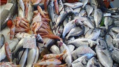 الجمبري بـ 595 ..أسعار الأسماك داخل سوق العبور