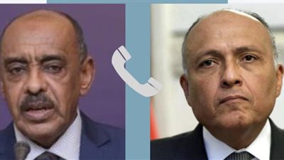 شكري والصادق يبحثان تطورات الأوضاع على الساحة السودانية