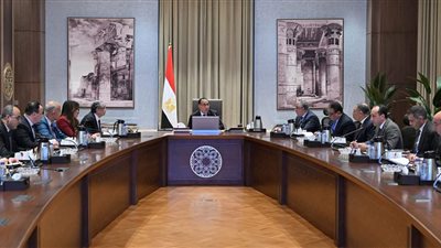 «مدبولي» يتابع موقف تخصيص أراضي مشروعات إنتاج الهيدروجين الأخضر