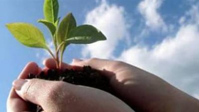 عقدة العطاء المفرط