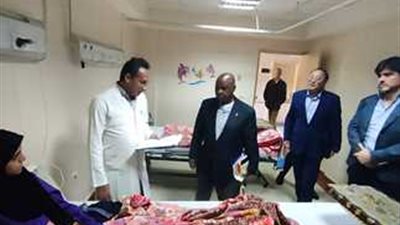 وفد مجلس الأمن الدولي يزور الجرحى الفلسطينيين في مستشفى العريش العام