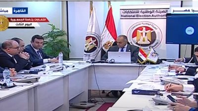 «بنداري» الانتخابات الرئاسية شهدت إقبالا غير متوقع من الناخبين بالمحافظات