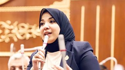 دينا هلالي: القمة العربية في البحرين تشكل فرصة في مواجهة التحديات الإقليمية والدولية