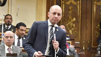 عضو النواب: الدولة المصرية بذلت جهودا غير مسبوقة لحل الصراع الإسرائيلي الفلسطيني