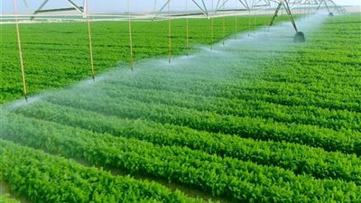 أستاذ الاقتصاد: التنمية الزراعية تؤدي إلى تقليل الفائض ورفع القيمة المضافة