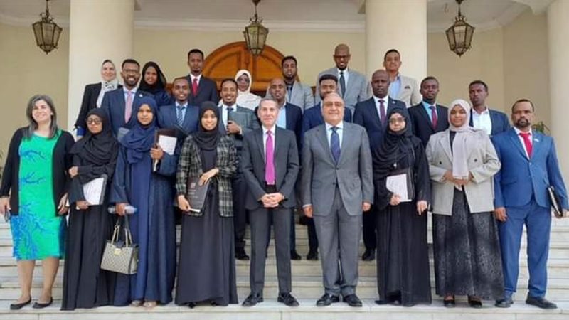 الدراسات الدبلوماسية