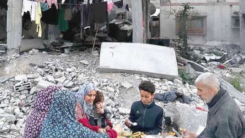 فلسطين ||الجدة جازية