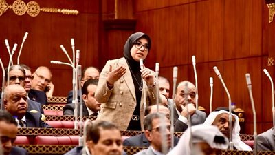 النائبة دينا هلالي: مصر تقف بالمرصاد لمخطط تصفية القضية الفلسطينية بالتهجير القسري