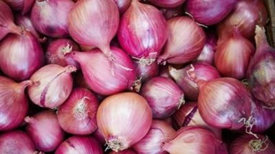 الغرفة التجارية بالإسماعيلية: إنخفاض سعر البصل خلال أيام