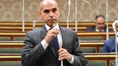 أمين سر دفاع النواب: الحوار الوطني علامة فارقة في تاريخ الدولة المصرية