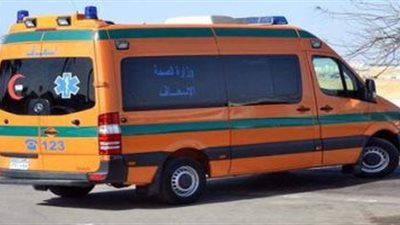 مصرع طفل صدمته سيارة ربع نقل بشبين القناطر