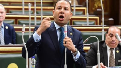 نائب: مؤتمر إيجبس يرسخ مكانة مصر كشريك استراتيجي مهم في أمن الطاقة