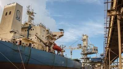 حركة استثنائية.. ميناء دمياط يستقبل 12 سفينة خلال 24 ساعة الماضية