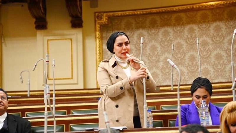 النائبة رحاب موسى