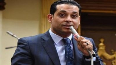 العمدة:  الأدلة المصرية أمام العدل الدولية قوة دافعة لإصدار قرار يحمي حقوق فلسطين