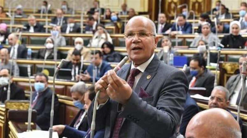 النائب-السيد-شمس-الدين-1688809971-0