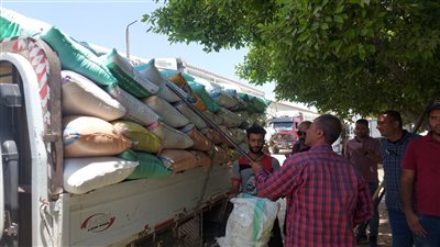 ضبط 32 طن و230 كجم قمح محلي قبل تهريبه بـ ههيا