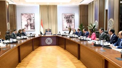 مدبولي يتابع موقف المبادرات الخاصة بإتاحة التيسيرات للمصريين بالخارج