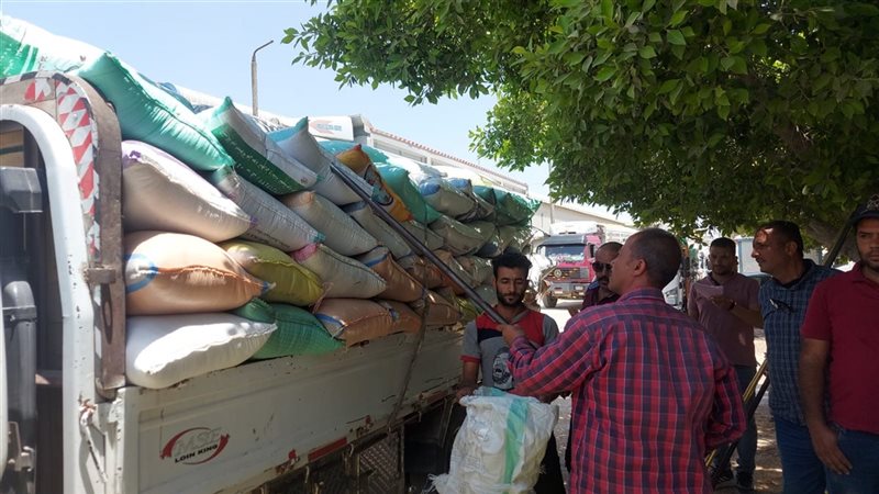 216245-اخذ-عينات-من-توريد-القمح-(4)