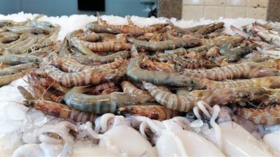 50 جنيهاً للكيلو.. تراجع في أسعار السمك اليوم الأربعاء