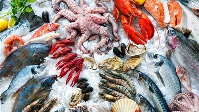 البلطي بكام؟.. أسعار السمك في الأسواق اليوم الخميس