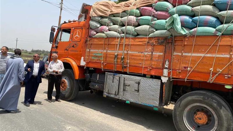 موسم توريد القمح