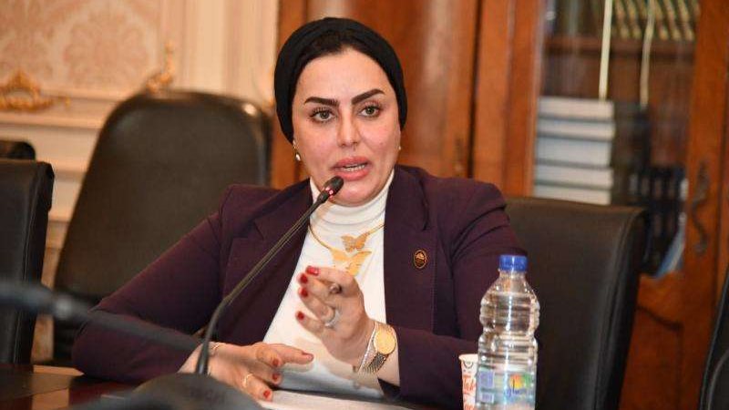 النائبة-رحاب-موسى-1684141824-0