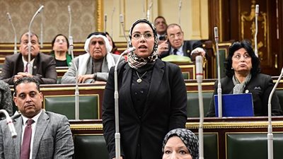 رنا رؤوف تؤدى اليمين الدستورية أمام النواب خلفا للراحلة أمنية رجب