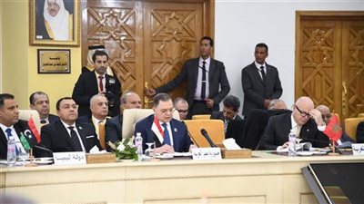 كلمة وزير الداخلية في الدورة 41 بمجلس وزراء العرب بتونس (فيديو)