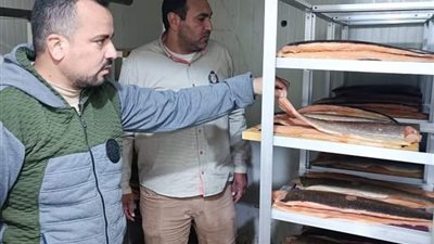 صحة الشرقية..غلق ١٦ منشأة غذائية مخالفة في حملات مكثفة بنطاق المحافظة