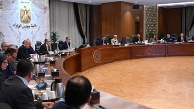 الأعلى للطاقة يعتمد الاستراتيجية الوطنية للهيدروجين مُنخفض الكربون