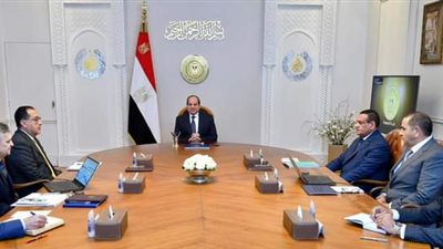 السيسي يتابع جهود توطين صناعة مراكب الصيد في مصر