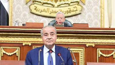 المصيلحي : «لست وزيرا للأزمات أنا وزير إزالة الأزمات ولا يمكن القبول بسياسة لي الذراع»