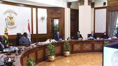 مدبولي يلتقي نائب رئيس الجمهورية ووزير الصحة في زيمبابوي   