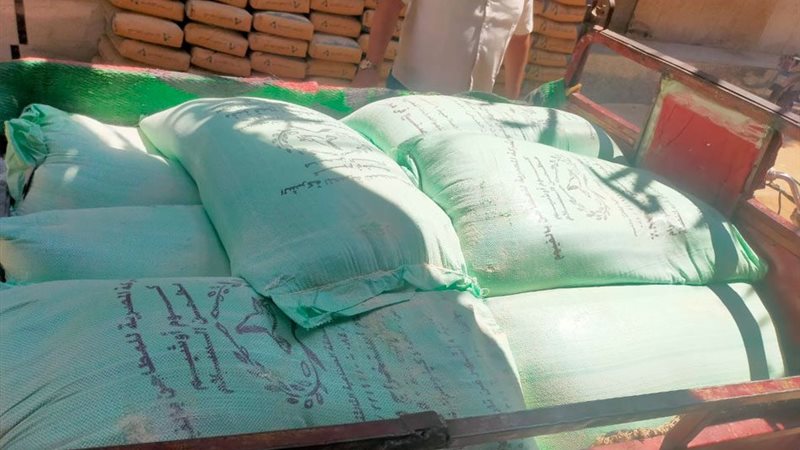 19_2023-638230265562685458-268