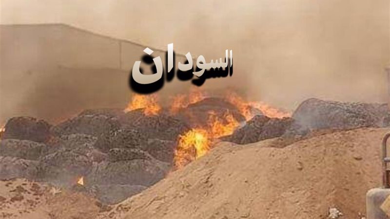 IMG-20230601-WA0260