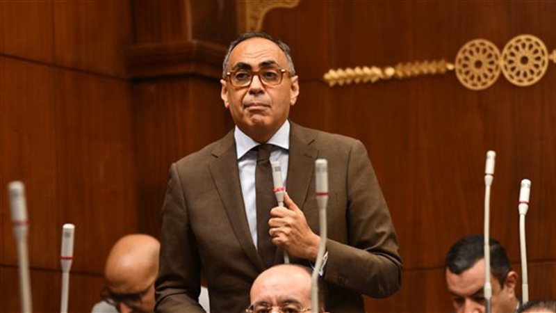 النائب هاني سري الدين