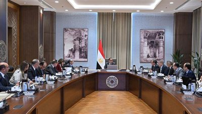 قرار جديد من الحكومة بشأن تخفيف الأحمال الكهربائية بدء من الغد