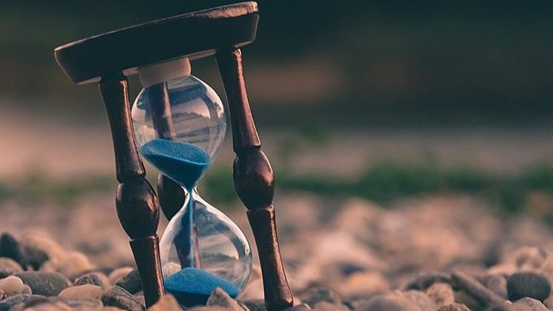 سرمدية المواطن||الدكتور