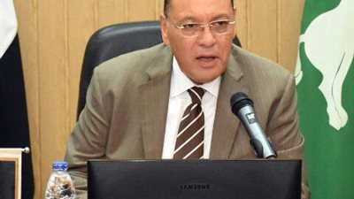 بعد جولة المحافظ المفاجئة.. حملة مشددة لرفع الإشغالات المخالفة بمنطقة فلل الجامعة بالزقازيق