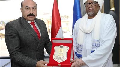 محافظ أسوان يستقبل القنصل العام السوداني.. تفاصيل