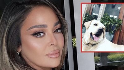 داليا البحيري تنعى 