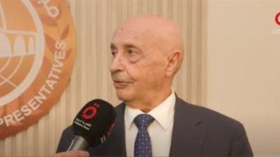 صالح: مصر لم تتدخل في شؤوننا وتدعم الحفاظ على وحدتنا