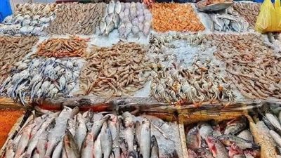 استقرار أسعار السمك اليوم السبت 1 يونيو 2024 بالأسواق التجارية والمحلية