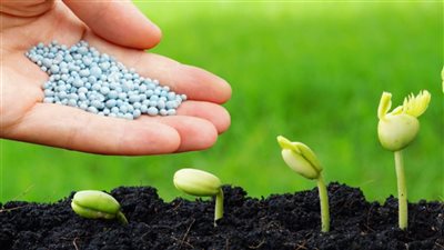 حقيقة رفع الدعم عن الأسمدة الزراعية مع بداية الموسم الزراعي المقبل