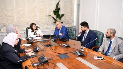 الجندي: حريصون على تضمين مختلف الخدمات لأبناء مصر بالخارج في التطبيق